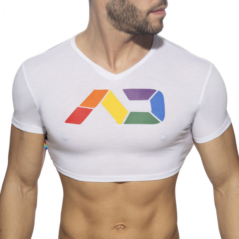 Addicted Rainbow Croptop