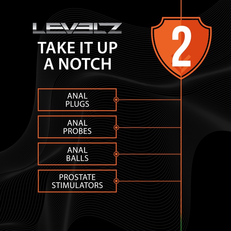 Levelz Silicone Anal Plug with Loop - M - Black