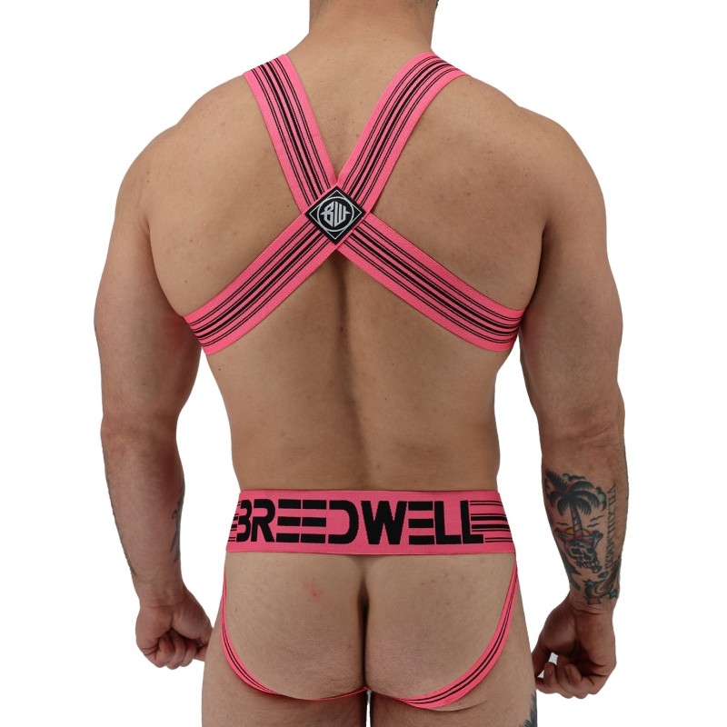 BREEDWELL Cumdump Bulldog Harness