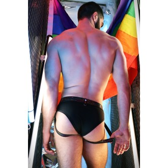 BREEDWELL Icon Pride Brief