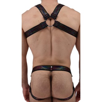 BREEDWELL Icon Pride Body Harness