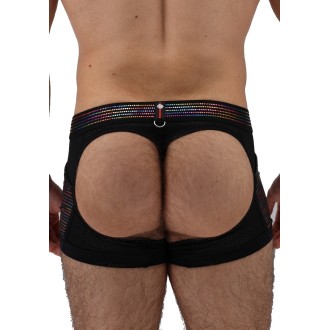 BREEDWELL Icon Pride Chap Thong