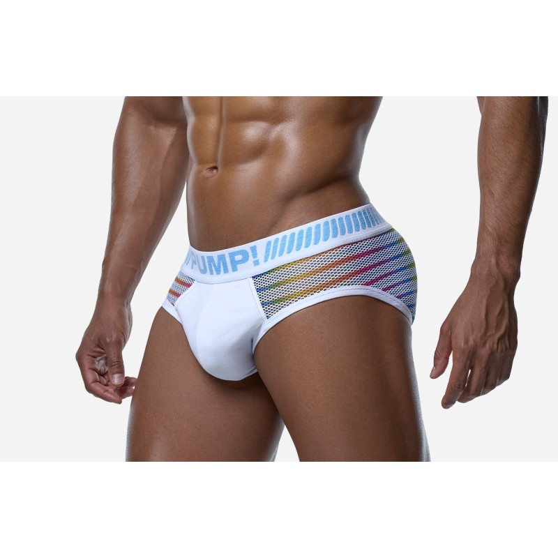 PUMP 12090 Prism Brief