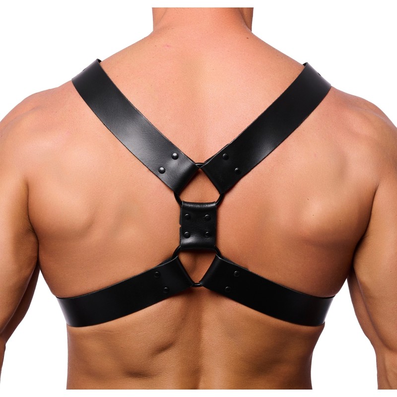 Red Leather Right Leather Harness Black