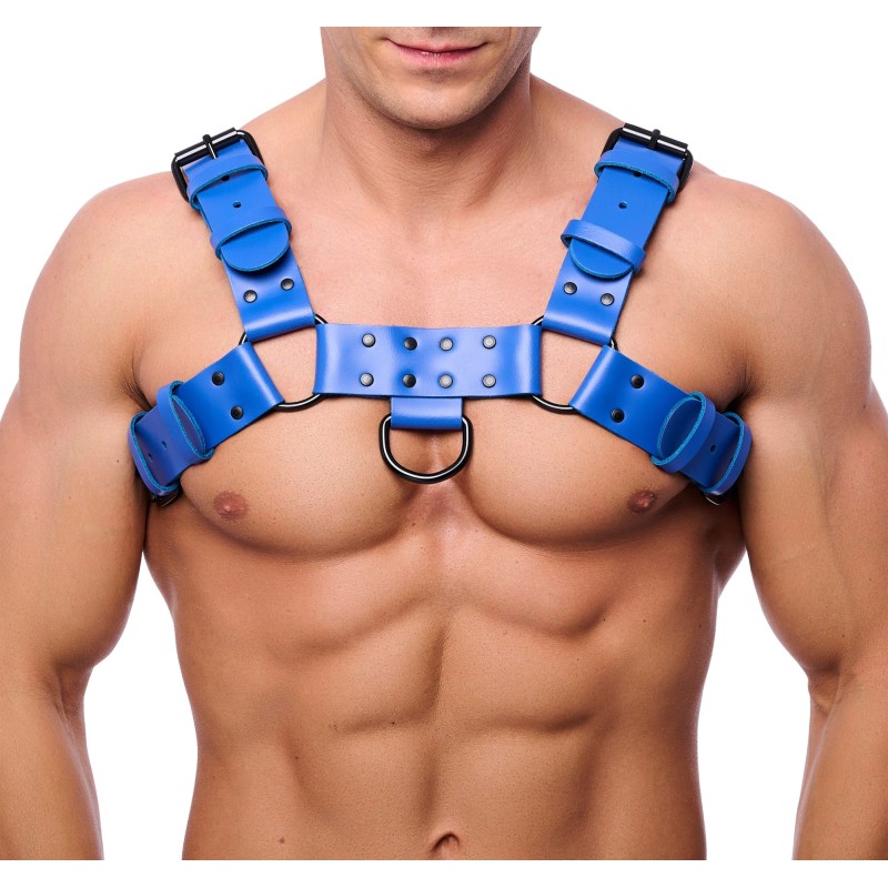 Red Leather Bulldog Leather Harness Blue