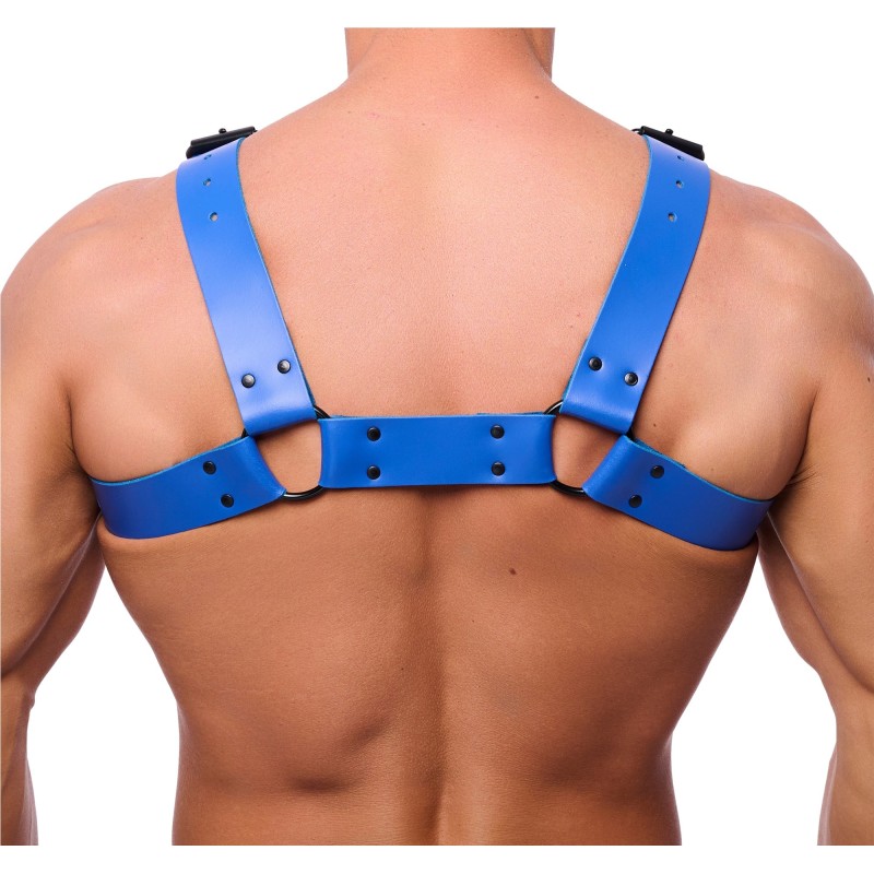 Red Leather Bulldog Leather Harness Blue