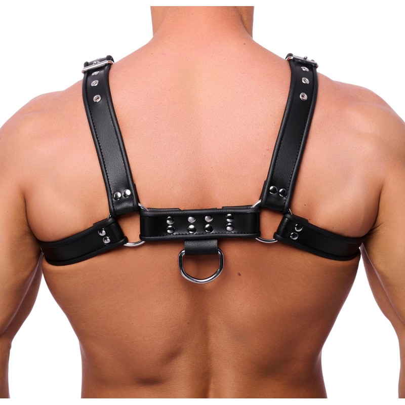 Red Leather Premium Leather Harness Black
