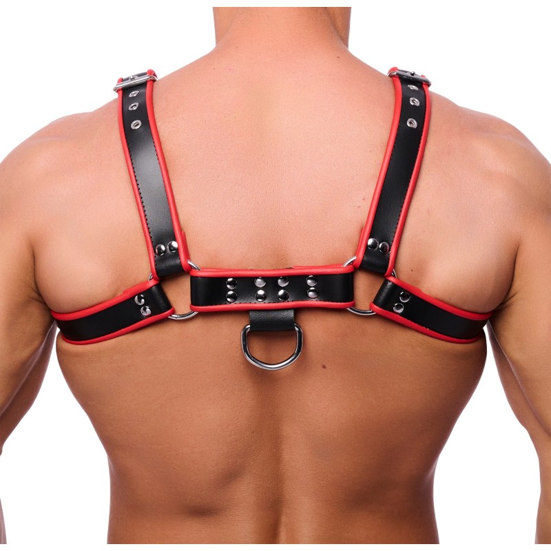 Red Leather Premium Leather Harness Black/Red