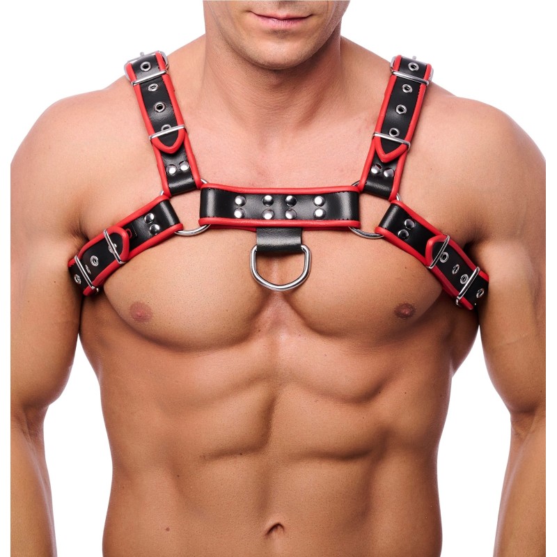Red Leather Premium Leather Harness Black/Red