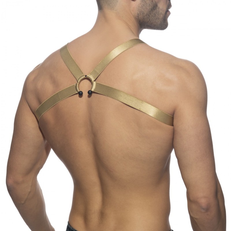 Addicted Bull Ring Harness gold | BiBo Fashion