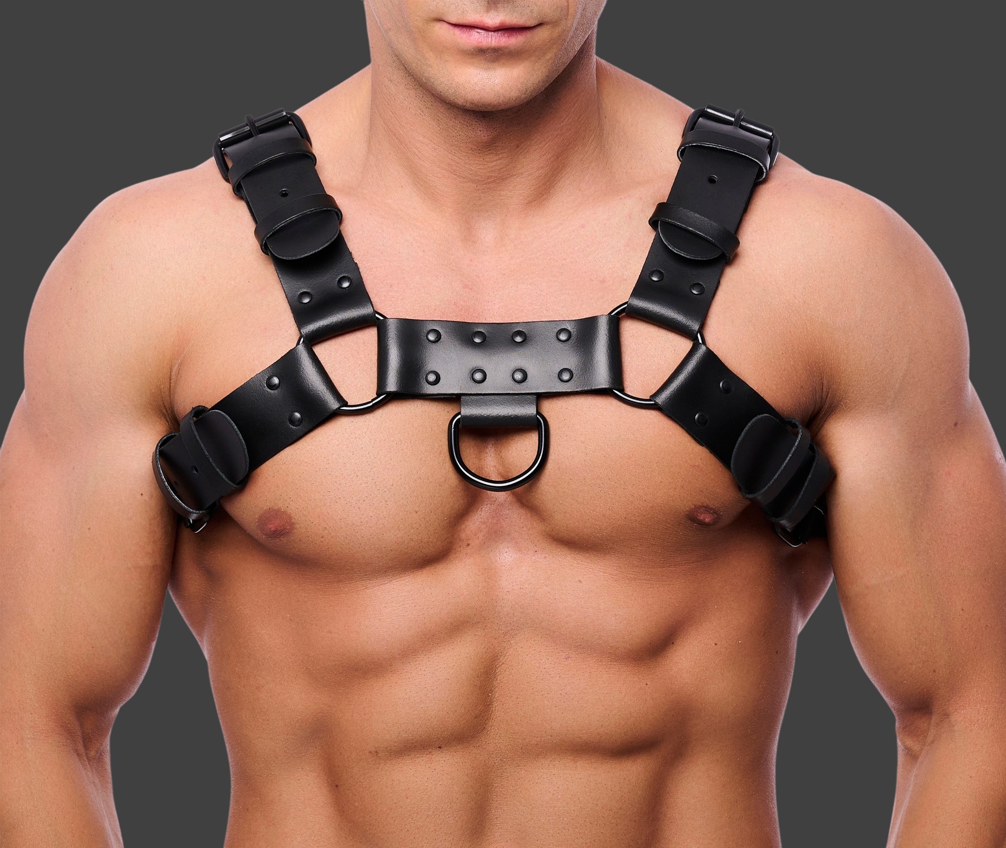 Harnesses